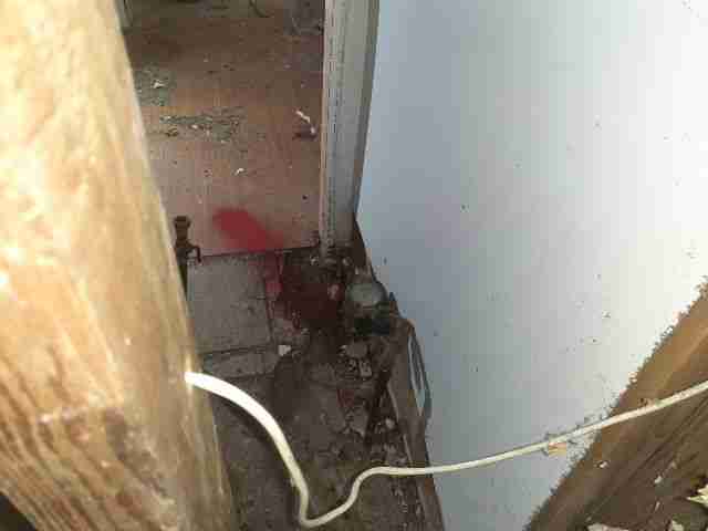 Testing again(65).jpg